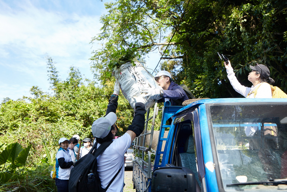 友達串聯志工組成水環境巡守隊，針對霄裡溪沿岸3公里的小花蔓澤蘭，定期進行移除與防治工作